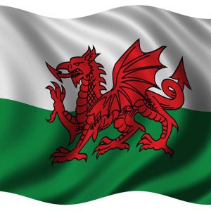 Welsh Flag